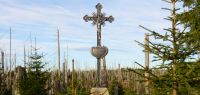 15  laus deo - gelobt sei gott - so stehts auf dem kreuz - das koennte als dank fuer den neuen wald gelten
